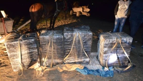  Țigarete de contrabandă, ascunse într-un atelaj hipo sub gunoi de grajd, descoperite de poliţiştii de frontieră - FOTO