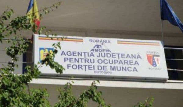 Aproximativ 7.000 de persoane aflate în căutarea unui loc de muncă înregistrate în evidenţele AJOFM Botoșani