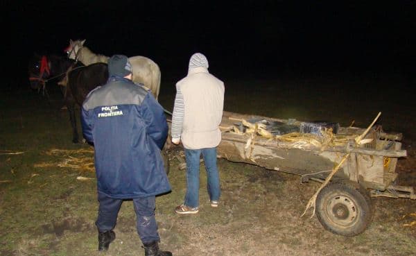 Ţigări de contrabandă depistate ascunse într-o cărută, sub coceni - FOTO