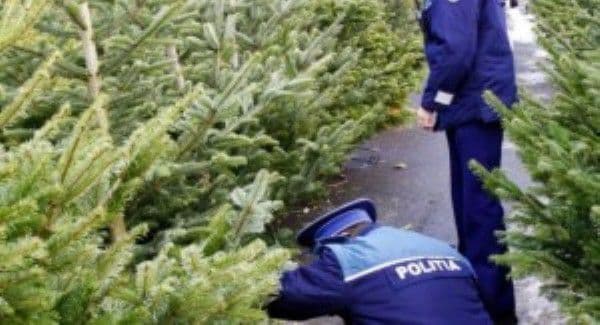 Comerciant ghinionist, sancţionat de poliţiştii botoşăneni de două ori în aceeaşi zi 