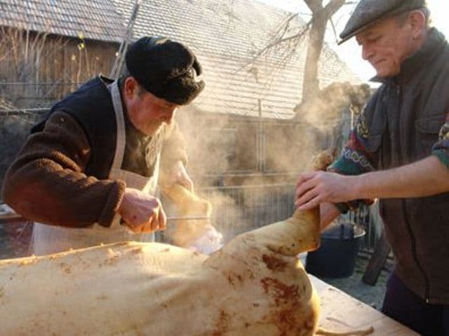 Ignatul, tradiții și obiceiuri. Ce trebuie să facă gospodarii ca să le meargă bine anul următor
