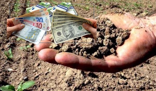 Anunț important! Se începe plata despăgubirilor pentru secetă. La nivelul județului Botoșani au fost depuse aproximativ 9000 de cereri