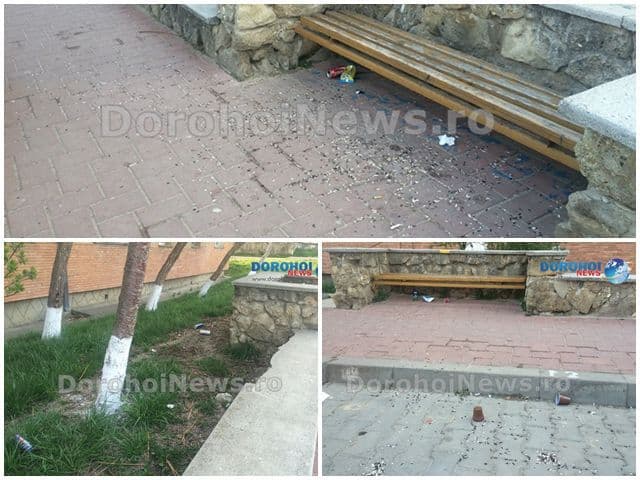 Primim la redacţie - Scuipatul semințelor, sport național la Dorohoi - FOTO