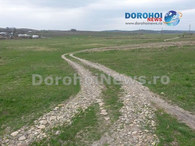 Primim la redacţie - Izolați din inconstiență ! „Se întâmplă în România” – FOTO