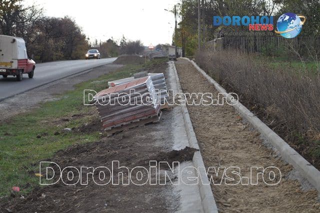 Alee Dealu Mare-Dorohoi_07