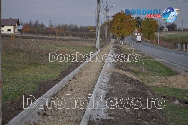 Alee Dealu Mare-Dorohoi_08