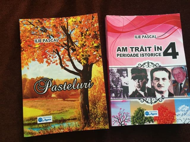 prefectul Costică Macaleţi (5)