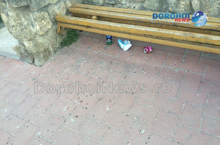 Primim la redactie - Dorohoi - mancatorii de seminte - 02