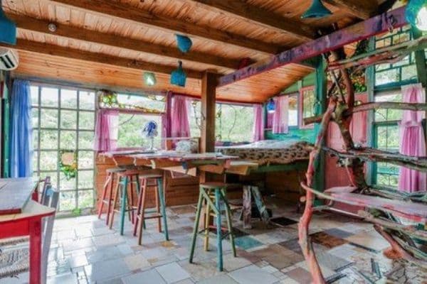 Casa din gunoaie_2