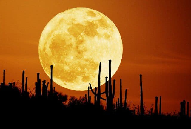 Super Luna1