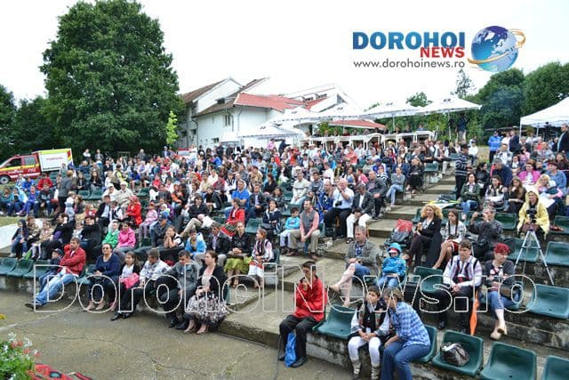 Festivalul Mugurelul 2015_13
