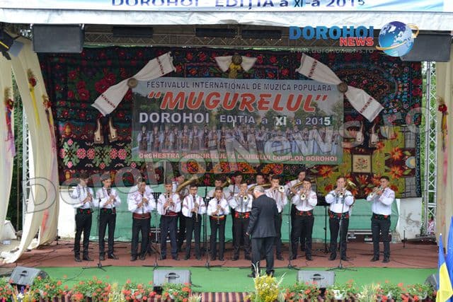 Festivalul Mugurelul11