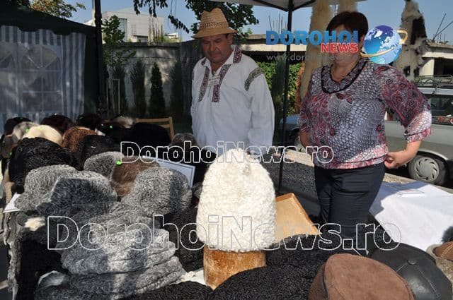 Targul Mestesugarilor Dorohoi 2015_03
