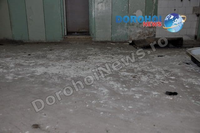 Dorohoi Casa Burghele 16