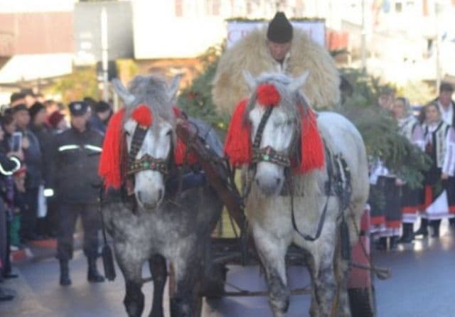 festivalul de datini (4)