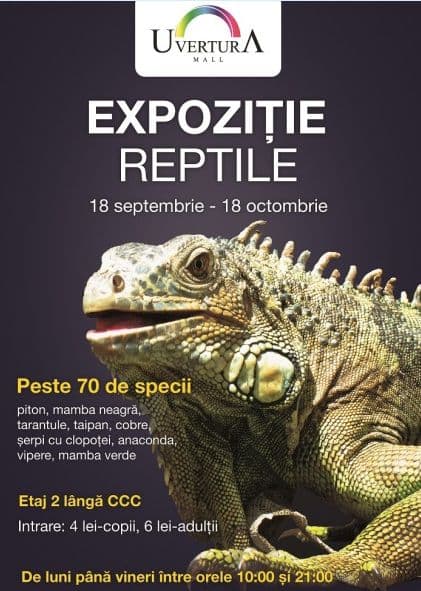 Expozitie reptile