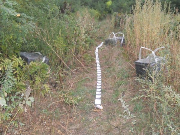 igări de contrabandă de peste 60.000 de lei confiscate de polițiștii de frontieră botoșăneni!33