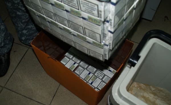 tigari 2