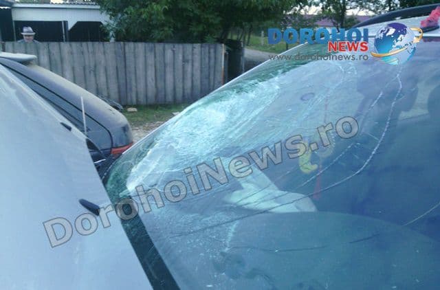 accident Ibanesti 03