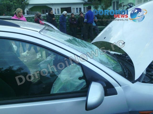 accident Ibanesti 04