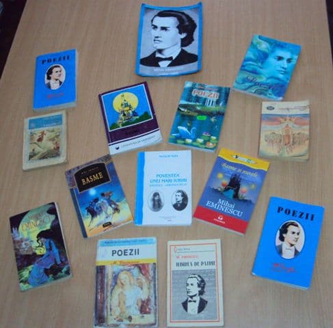 Liceul Tehnologic Special Ion Pillat Dorohoi (5)