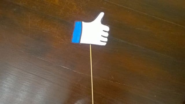 Colegiul National Grigore Ghica - generatia facebook (5)