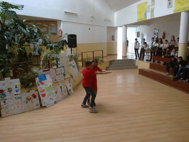 Dorohoi Scoala Stefan cel Mare (4)
