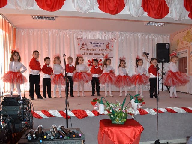 Dorohoi – Fir de martisor (13)