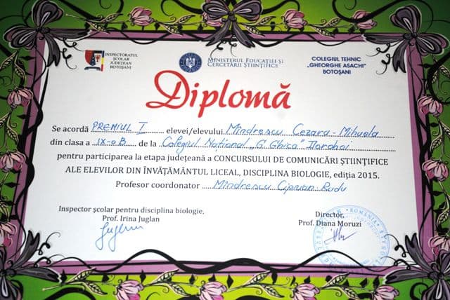 diploma