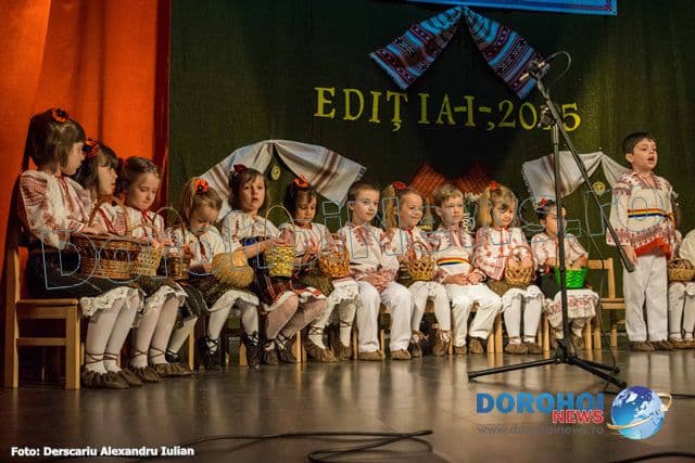 Festivan Concurs la Dorohoi_08