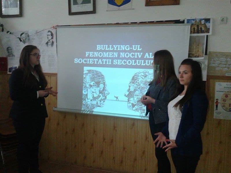 Colegiul Grigore Ghica Dorohoi_11