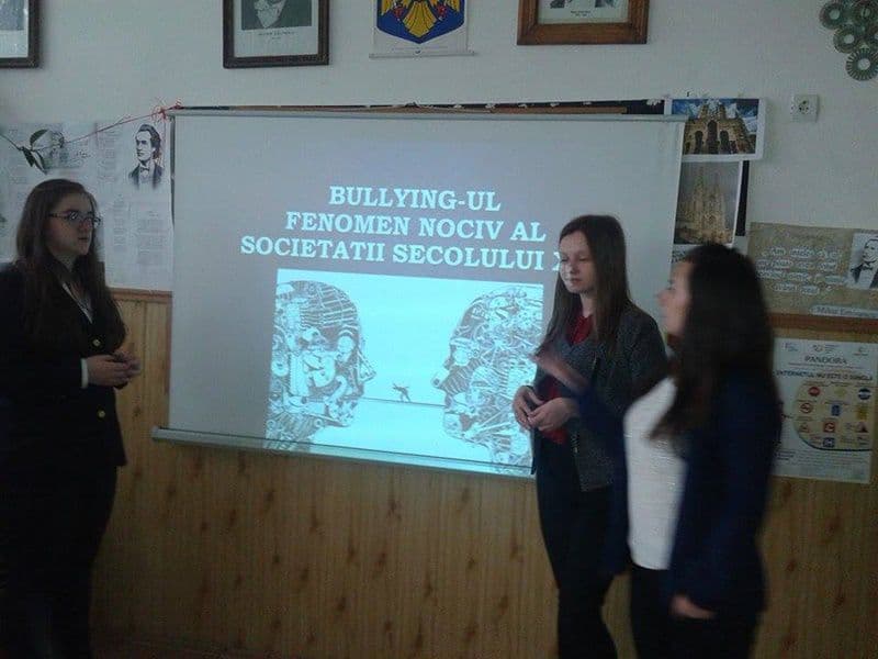 Colegiul Grigore Ghica Dorohoi_13