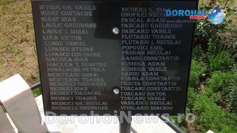Ziua Eroilor Scoala Miorcani_05
