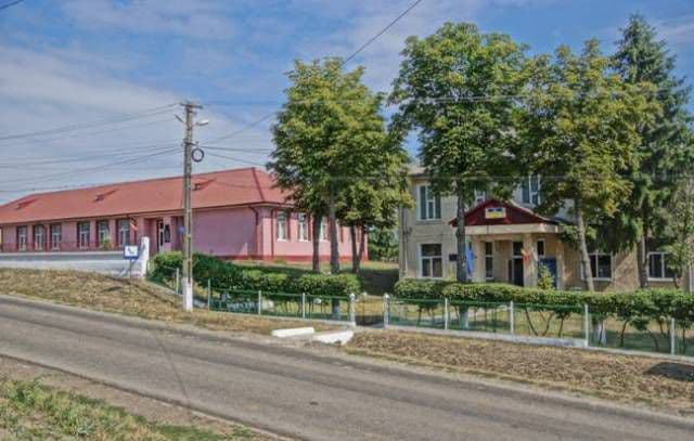 Vlasinesti1