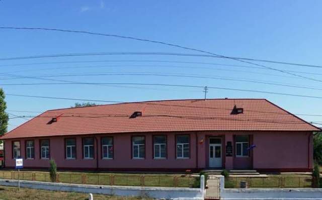 Vlasinesti