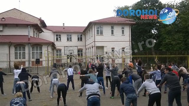 Colegiul Grigore Ghica Dorohoi03