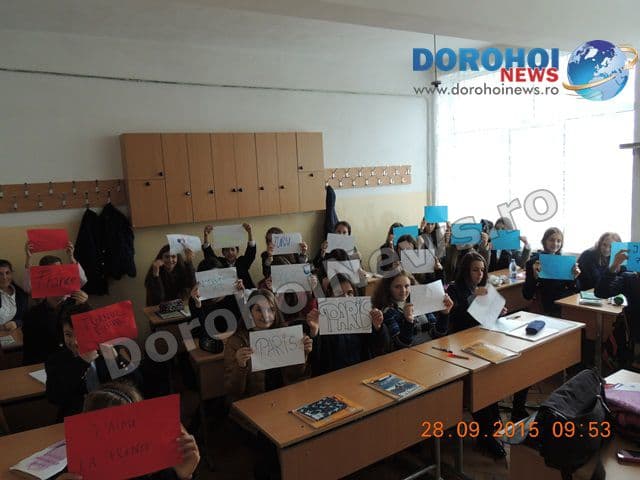 Colegiul Grigore Ghica Dorohoi 01