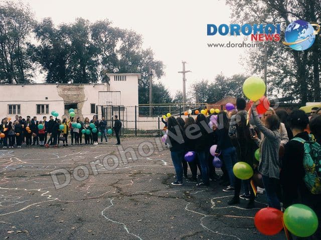 Colegiul Grigore Ghica Dorohoi 11