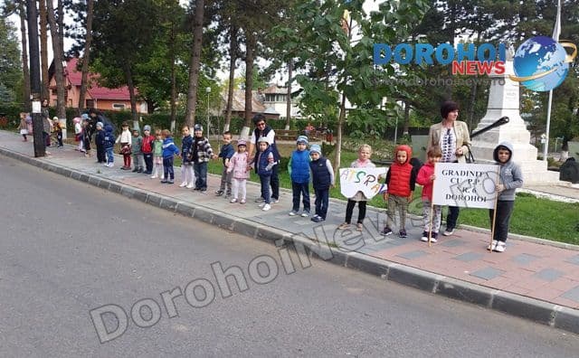 Colegiul Grigore Ghica Dorohoi 09