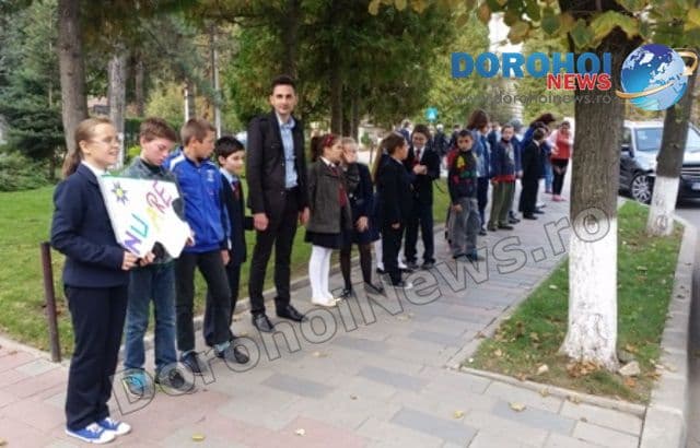 Colegiul Grigore Ghica Dorohoi 08