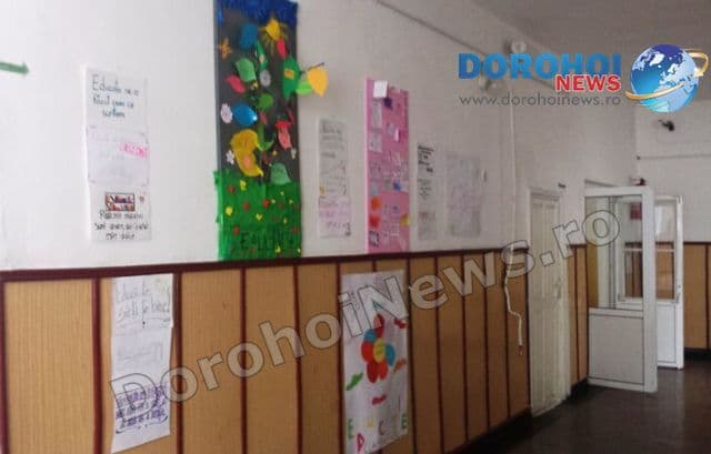 Colegiul Grigore Ghica Dorohoi 01