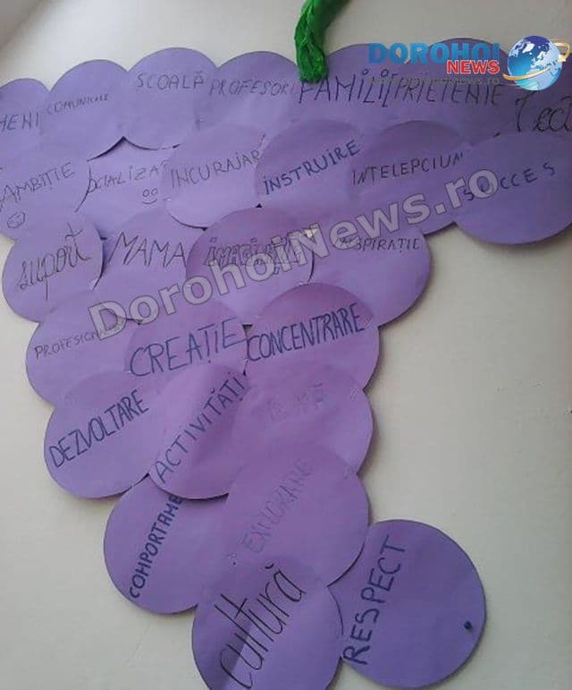 Colegiul Grigore Ghica Dorohoi 03