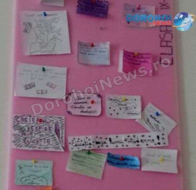 Colegiul Grigore Ghica Dorohoi 05