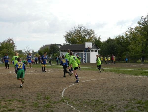 activitate7