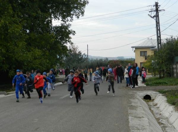 activitate10