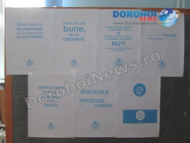 proiect educational Pomarla 08
