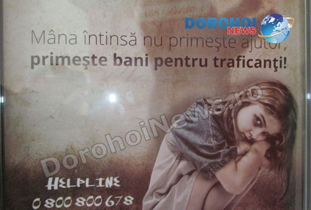 proiect educational Pomarla 11