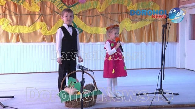 Gradinita 8 Dorohoi_04
