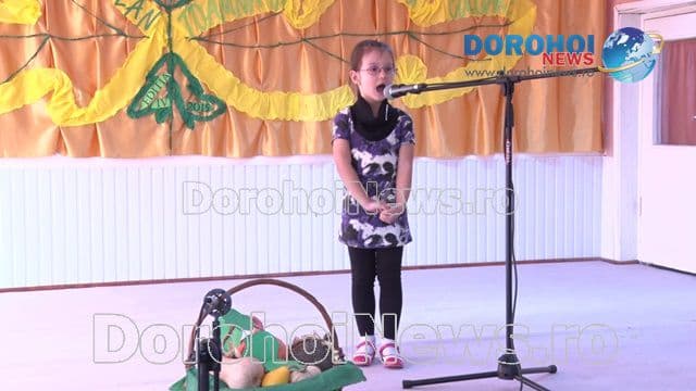 Gradinita 8 Dorohoi_10