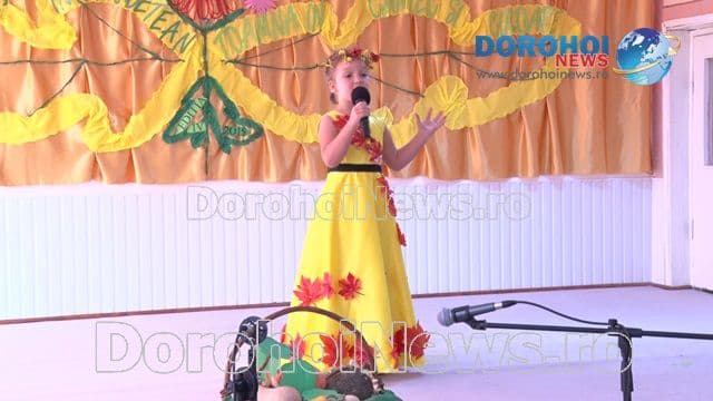 Gradinita 8 Dorohoi_11